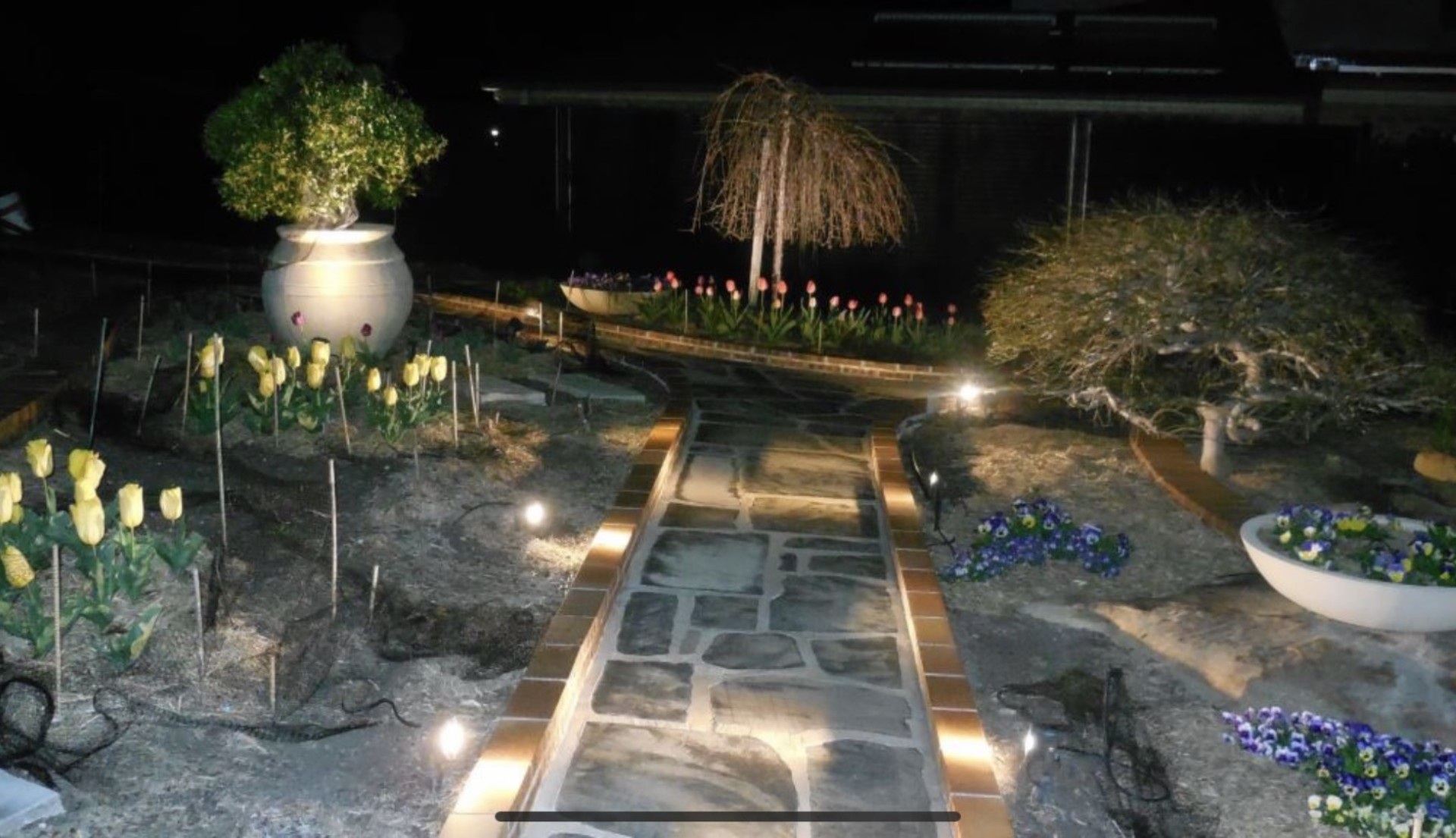 Garden Lights Springwood Garden Lights Springwood